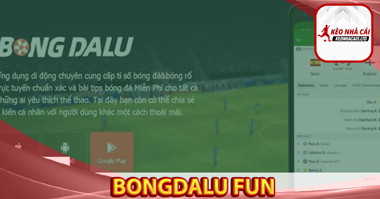 Bongdalu fun